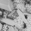 Genesol 701